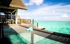 maldives honeymoon