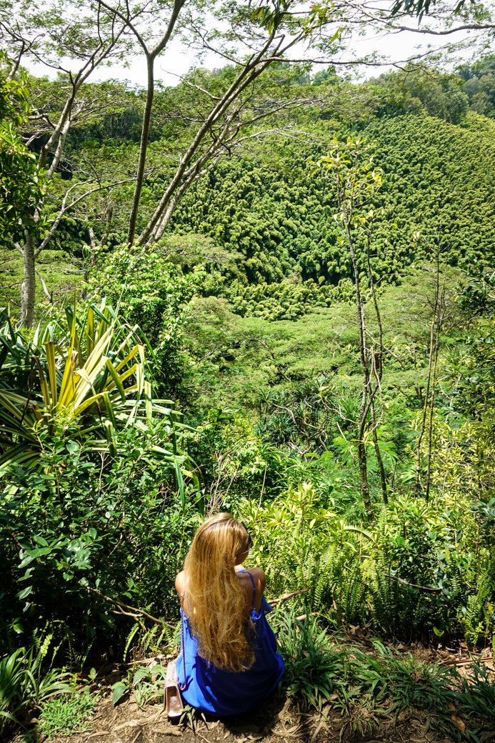 Waikamoi Ridge Trail | Driving the Road to Hana | Maui | Hawaii | Bubbly Moments