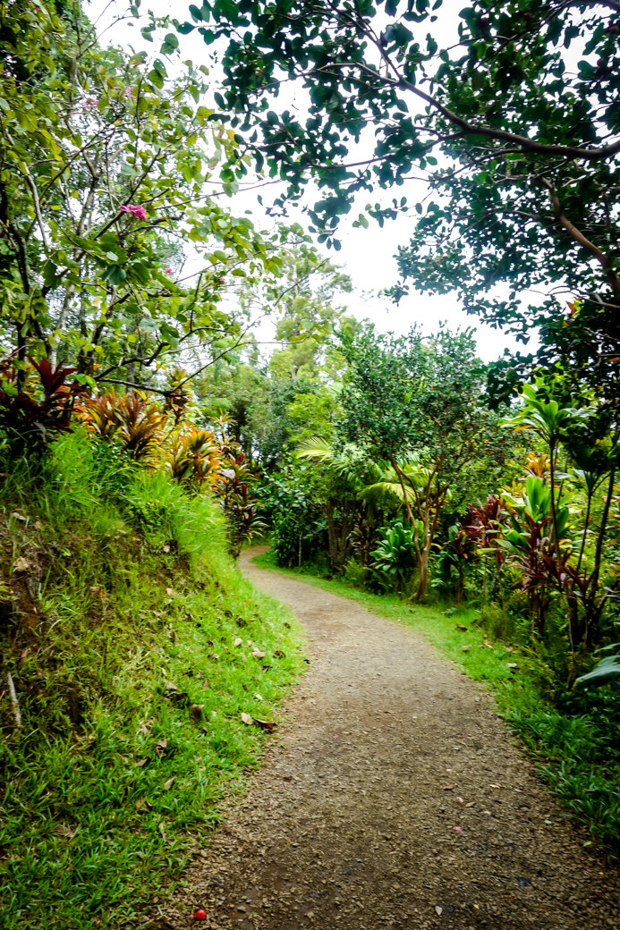 Garden of Eden Arboretum | Driving the Road to Hana | Maui | Hawaii | Bubbly Moments