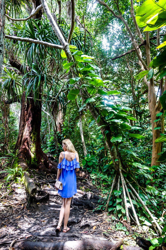 Waikamoi Ridge Trail | Driving the Road to Hana | Maui | Hawaii | Bubbly Moments