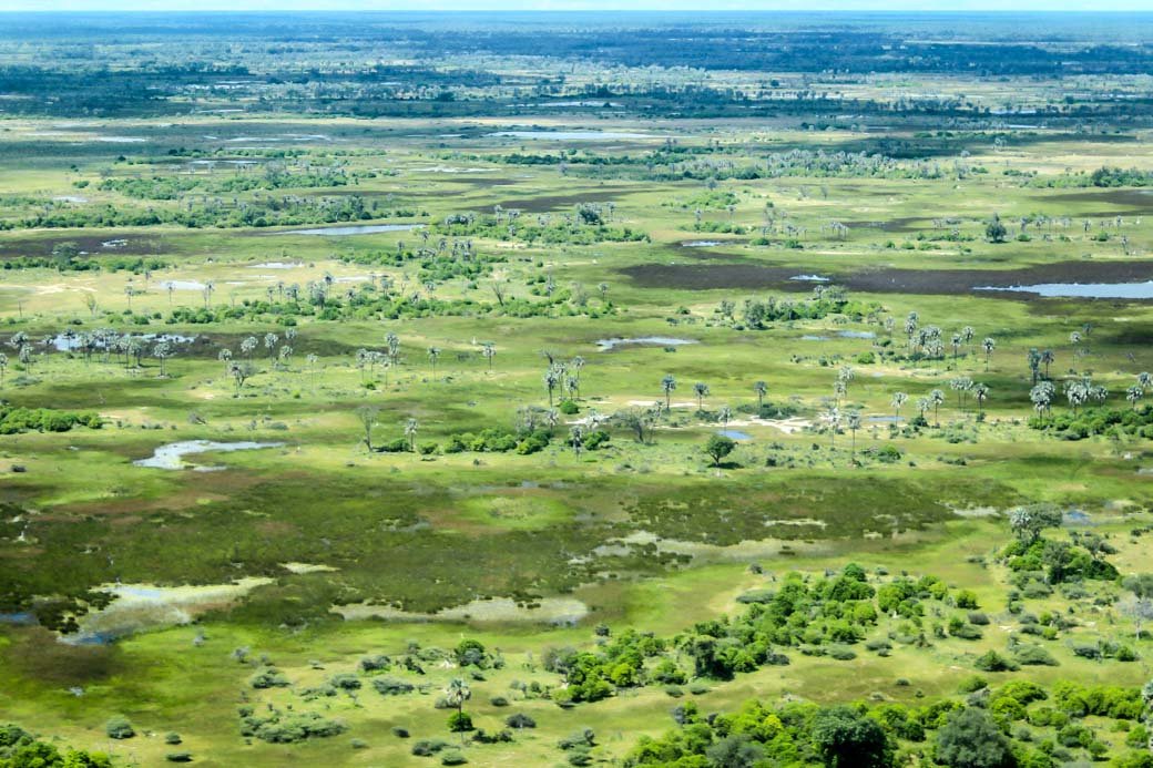 Botswana Okavango Delta Safari | Sanctuary Baines' Camp | Travel | Africa | Safari | Bubbly Moments