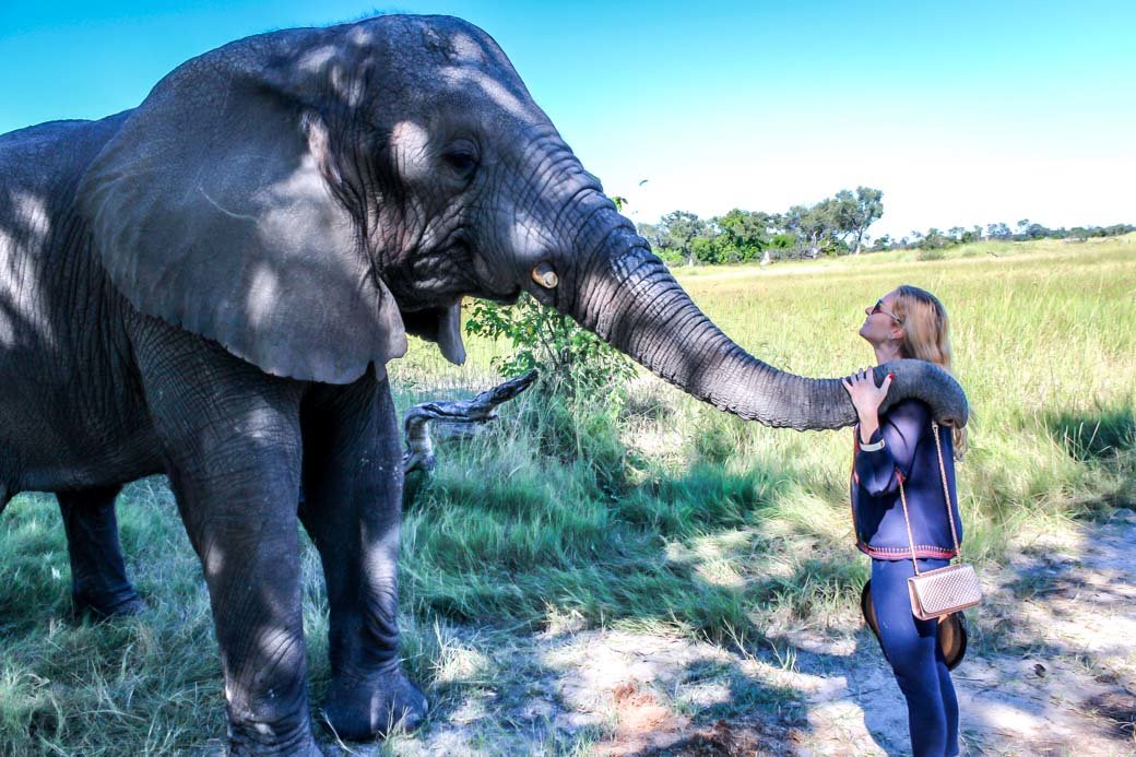 Botswana Okavango Delta Safari | Sanctuary Baines' Camp | Travel | Africa | Safari | Bubbly Moments