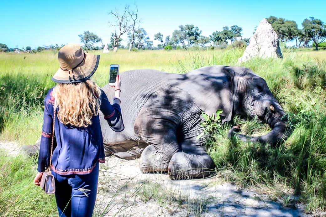 Botswana Okavango Delta Safari | Sanctuary Baines' Camp | Travel | Africa | Safari | Bubbly Moments