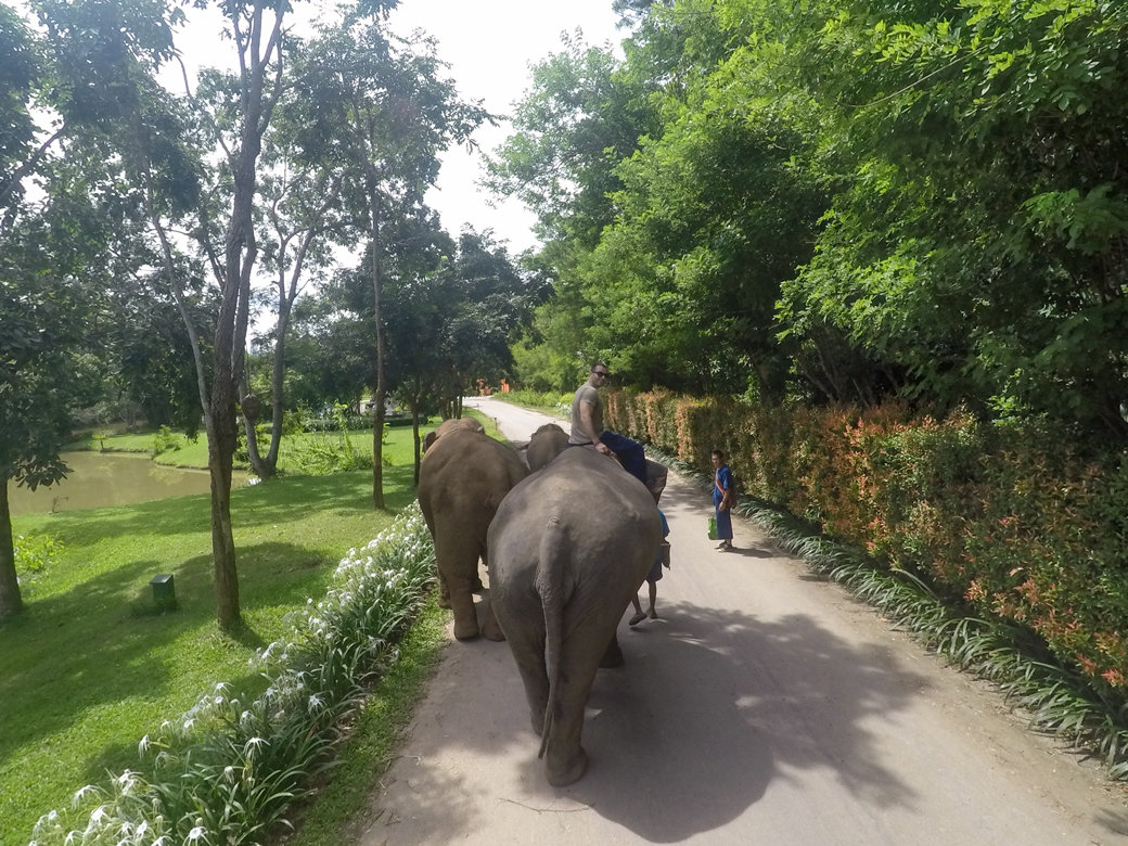 Chiang Rai Honeymoon | Golden Triangle | Elephant Camp | Anantara Resort | Mekong River | Myanmar | Laos | Bubbly Moments