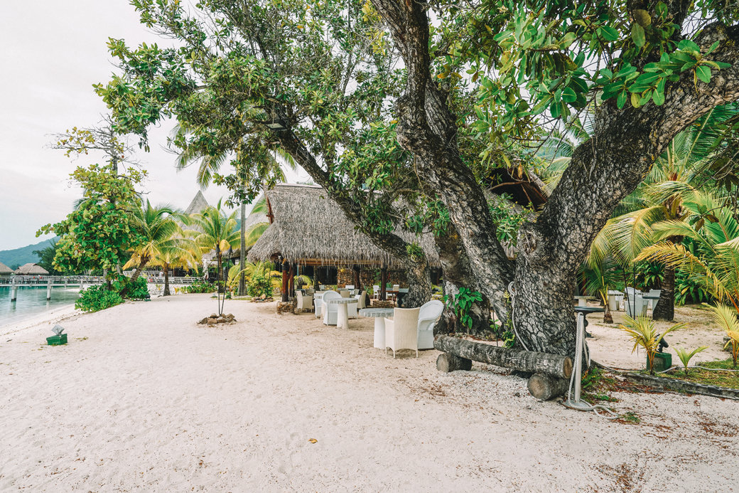 Sofitel Moorea Ia Ora Beach Resort | French Polynesia | Tahiti | Island | Ultimate Overwater Bungalow | Travel | Travel Photography | Bubbly Moments