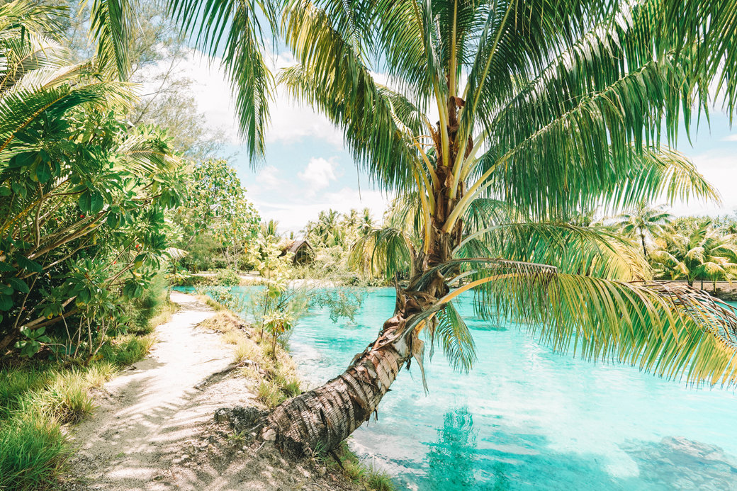 Dazzling Bora Bora | French Polynesia | Blue Lagoon | Paradise | Four Seasons Bora Bora | Tahiti | Island | Overwater Bungalow | Travel | Travel Photography | Bubbly Moments