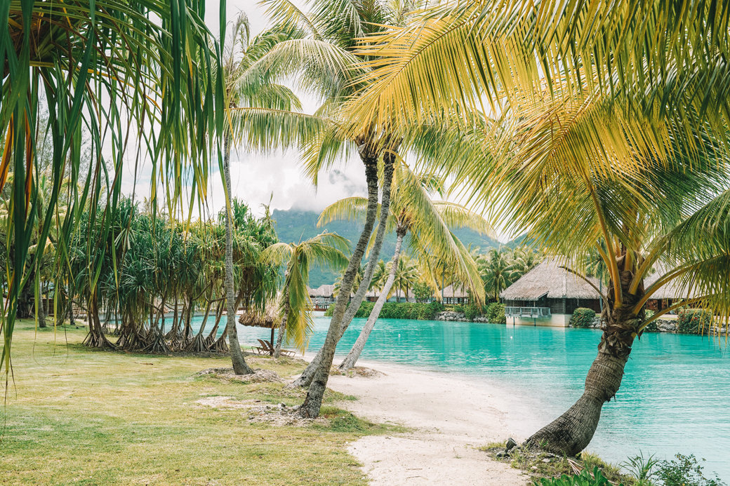 Dazzling Bora Bora | French Polynesia | Blue Lagoon | Paradise | Four Seasons Bora Bora | Tahiti | Island | Overwater Bungalow | Travel | Travel Photography | Bubbly Moments