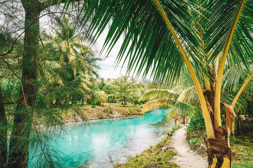 Dazzling Bora Bora | French Polynesia | Blue Lagoon | Paradise | Four Seasons Bora Bora | Tahiti | Island | Overwater Bungalow | Travel | Travel Photography | Bubbly Moments