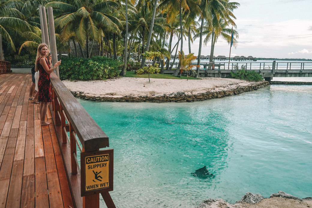 Dazzling Bora Bora | French Polynesia | Blue Lagoon | Paradise | Four Seasons Bora Bora | Tahiti | Island | Overwater Bungalow | Travel | Travel Photography | Bubbly Moments