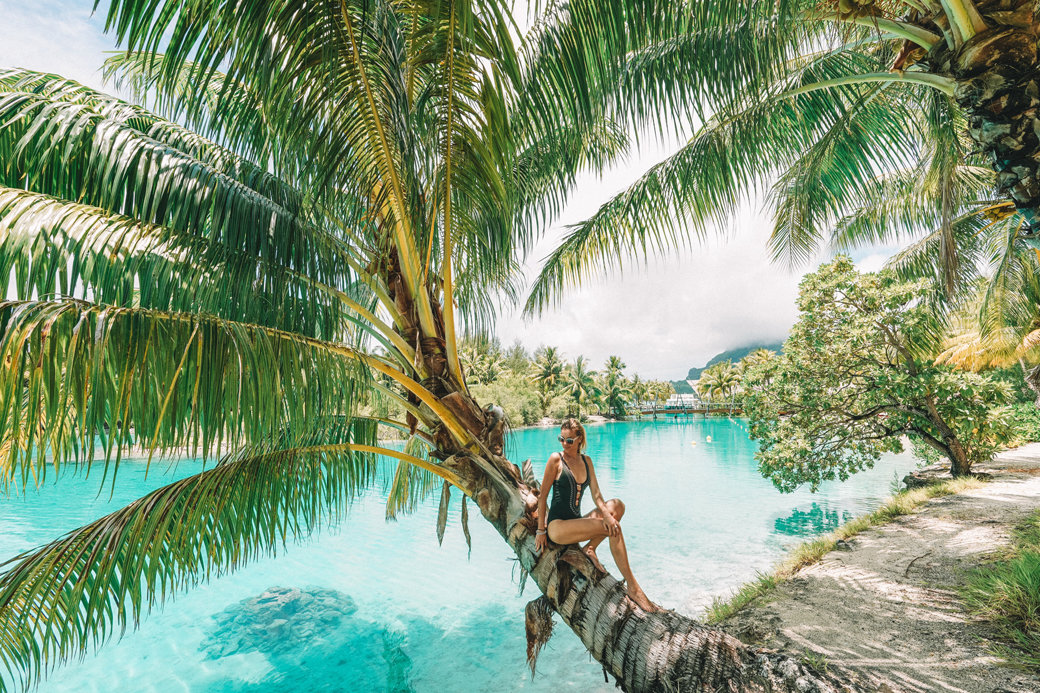 Dazzling Bora Bora | French Polynesia | Blue Lagoon | Paradise | Four Seasons Bora Bora | Tahiti | Island | Overwater Bungalow | Travel | Travel Photography | Bubbly Moments