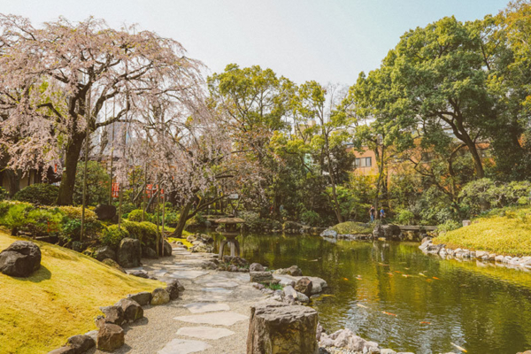 The Best Places to Visit in Tokyo in 3 Days