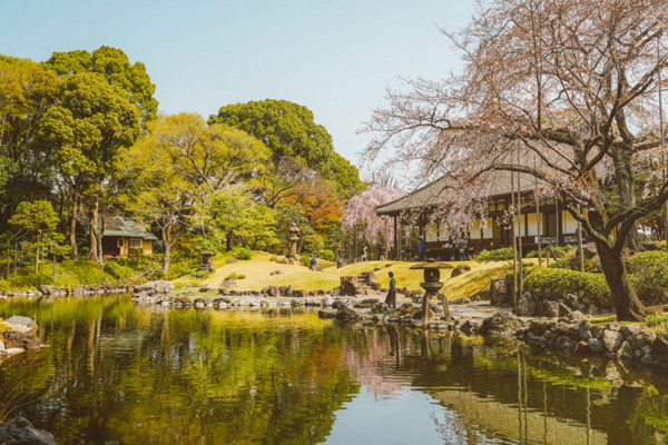 The Best Places to Visit in Tokyo in 3 Days