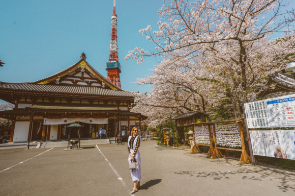 The Best Places to Visit in Tokyo in 3 Days