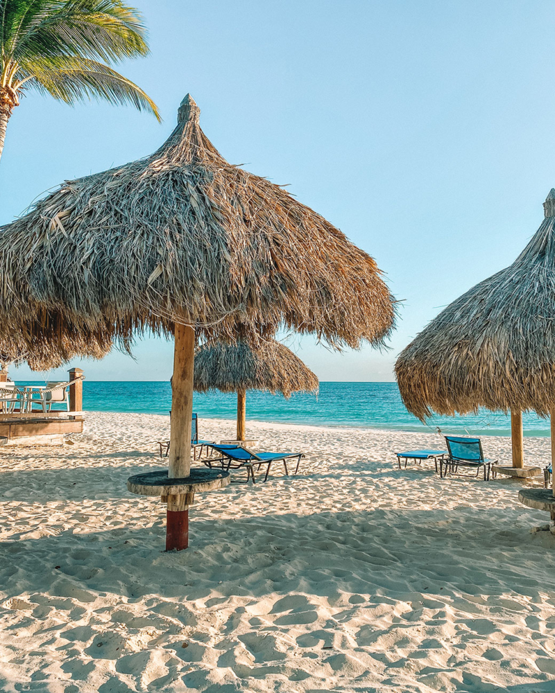 Family Vacation at the Divi & Tamarijn Aruba All Inclusive Resorts