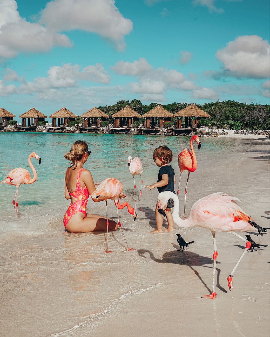 Flamingo Beach Aruba | Renaissance Hotel Aruba | Travel Blogger | Bubbly Moments