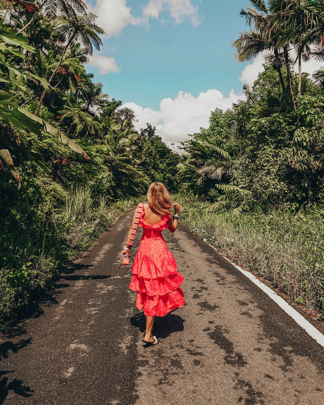 Discover the Best of Puerto Rico | Natural Wonders of Puerto Rico | Culinary & Sightseeing Adventure | A True Journey Through Paradise | Bubbly Moments