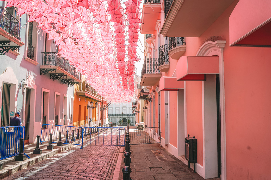 Discover the Best of Puerto Rico | Natural Wonders of Puerto Rico | Culinary & Sightseeing Adventure | A True Journey Through Paradise | Bubbly Moments